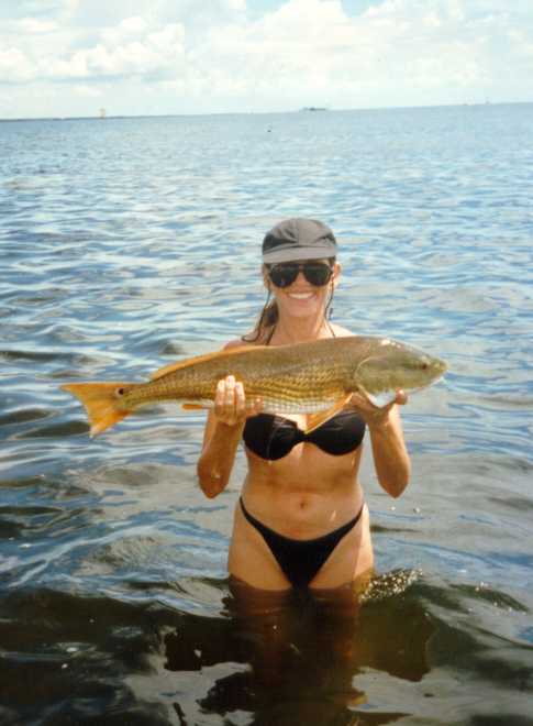 photograghs tampa florida saltwater fly fishing and light tackle saltwater fishing 485x660