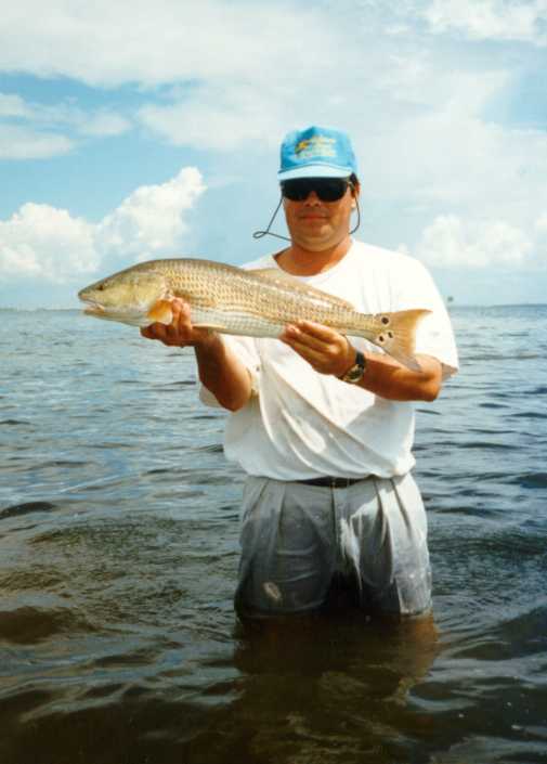 Wading for redfish in Tampa Bay
